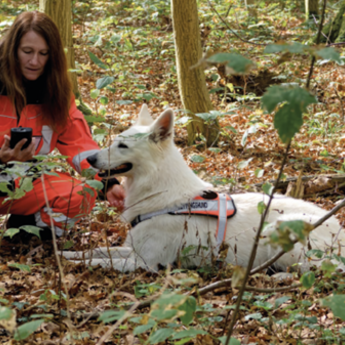bavarian_rescue_dog_team_using_agnet