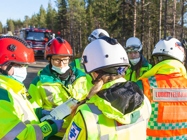 Planning teamwork in forest environment